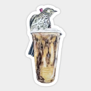 Wood Thrush Iced Coffee Sticker